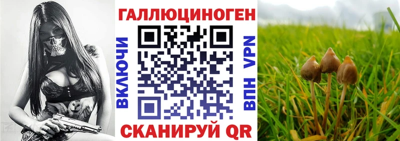 мориарти наркотические препараты  наркота  Ульяновск  Галлюциногенные грибы Cubensis 